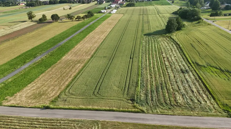 Działka rolna 85,12 ha, Żelisławice
