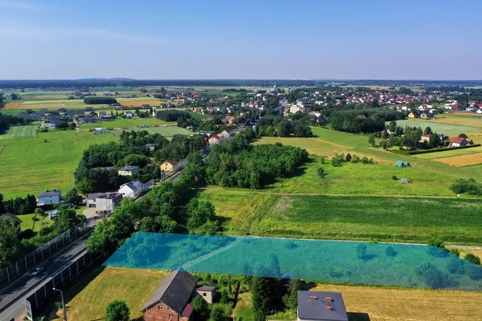 Zdjęcie 15