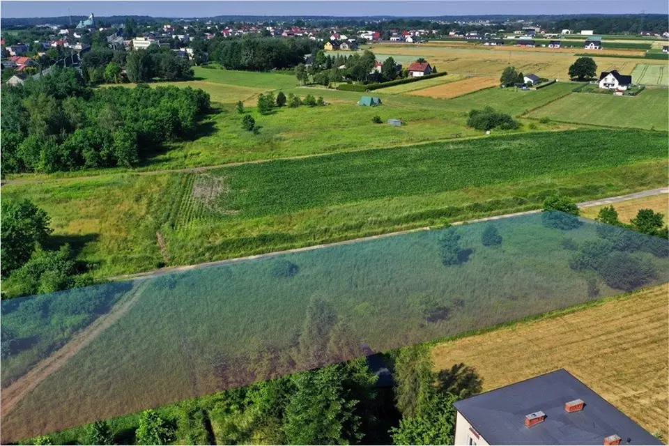 Zdjęcie 19
