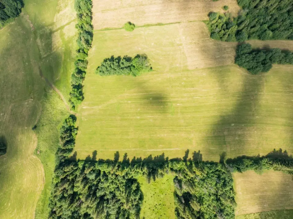 Zdjęcie 4