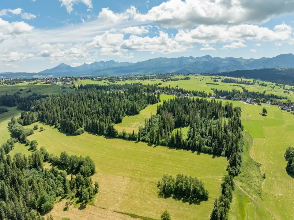 Zdjęcie 10