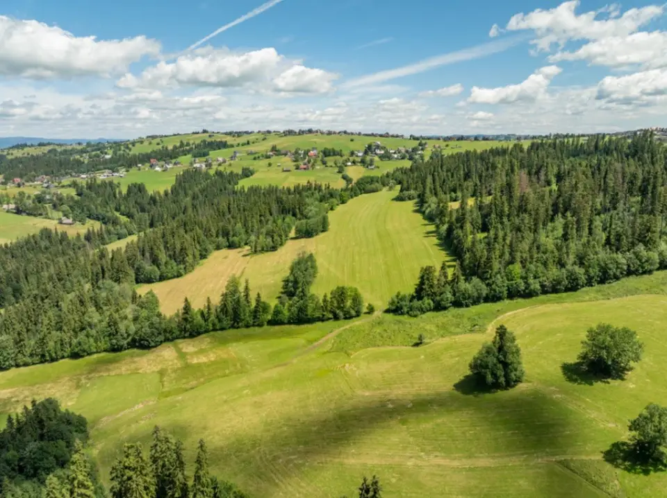 Zdjęcie 15