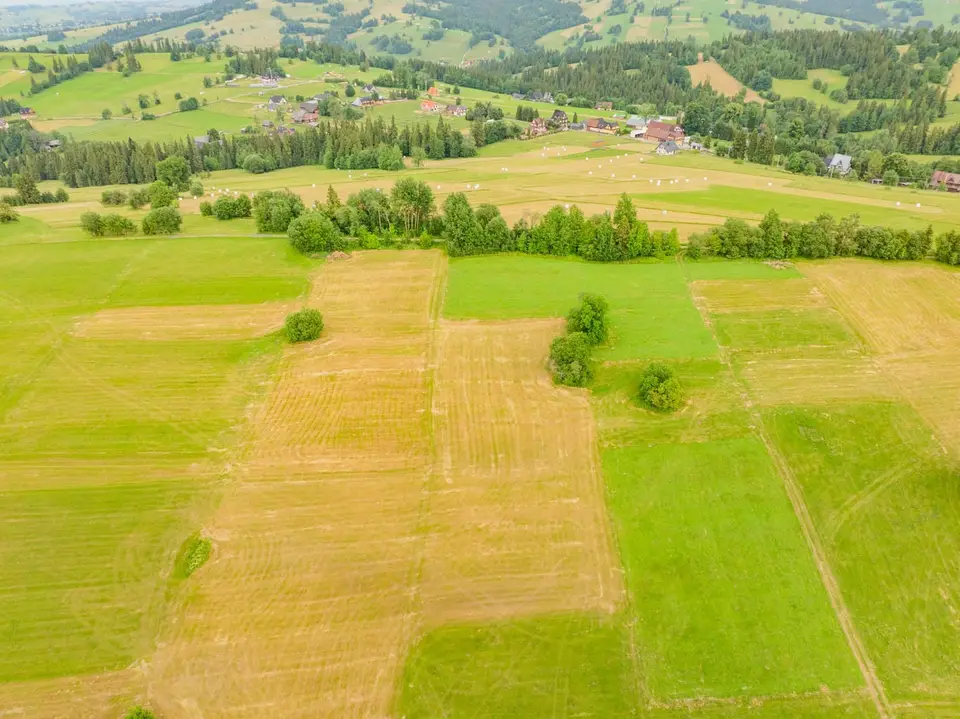 Działka budowlana 9 423 m², Ciche