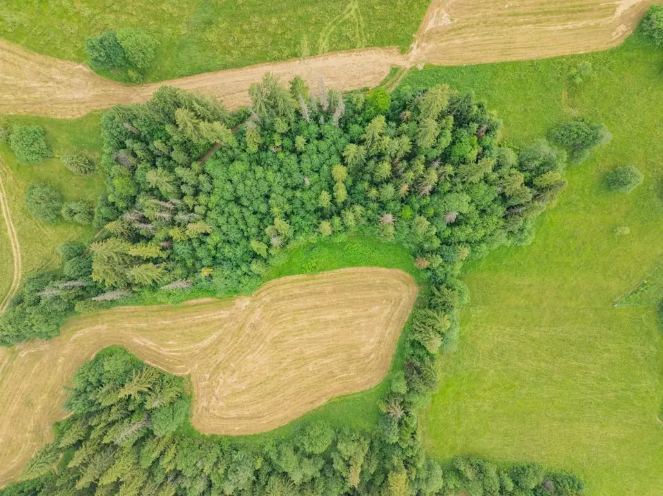 Zdjęcie 13