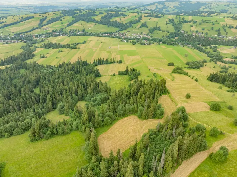 Zdjęcie 14