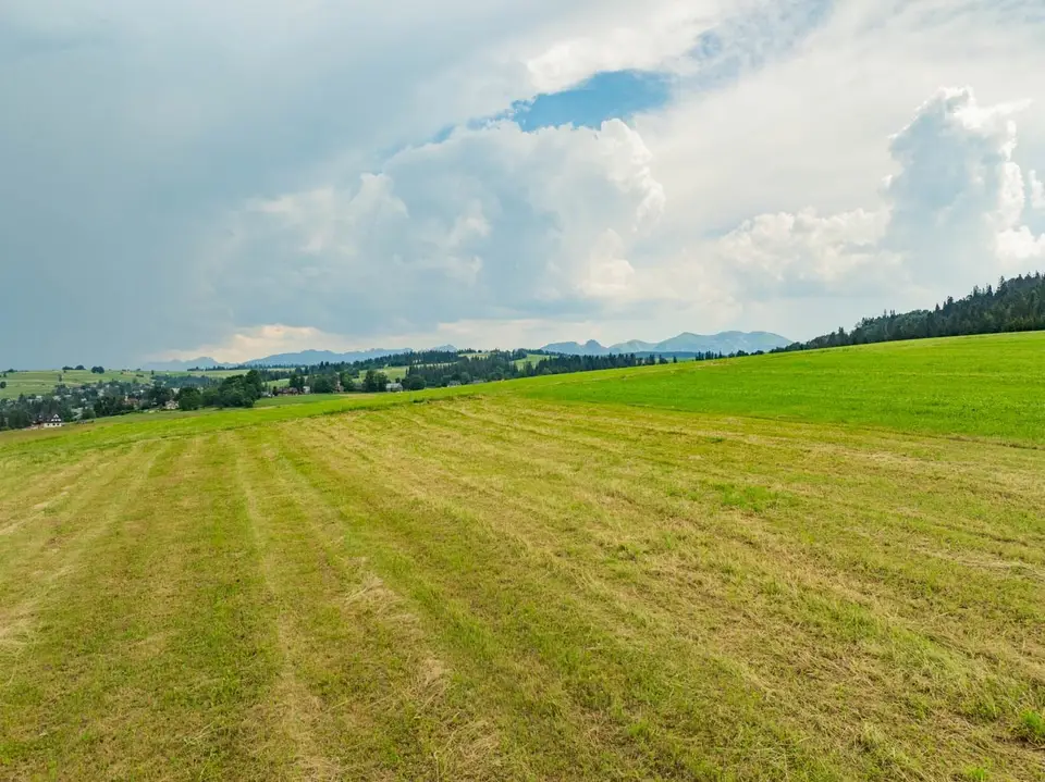 Zdjęcie 19