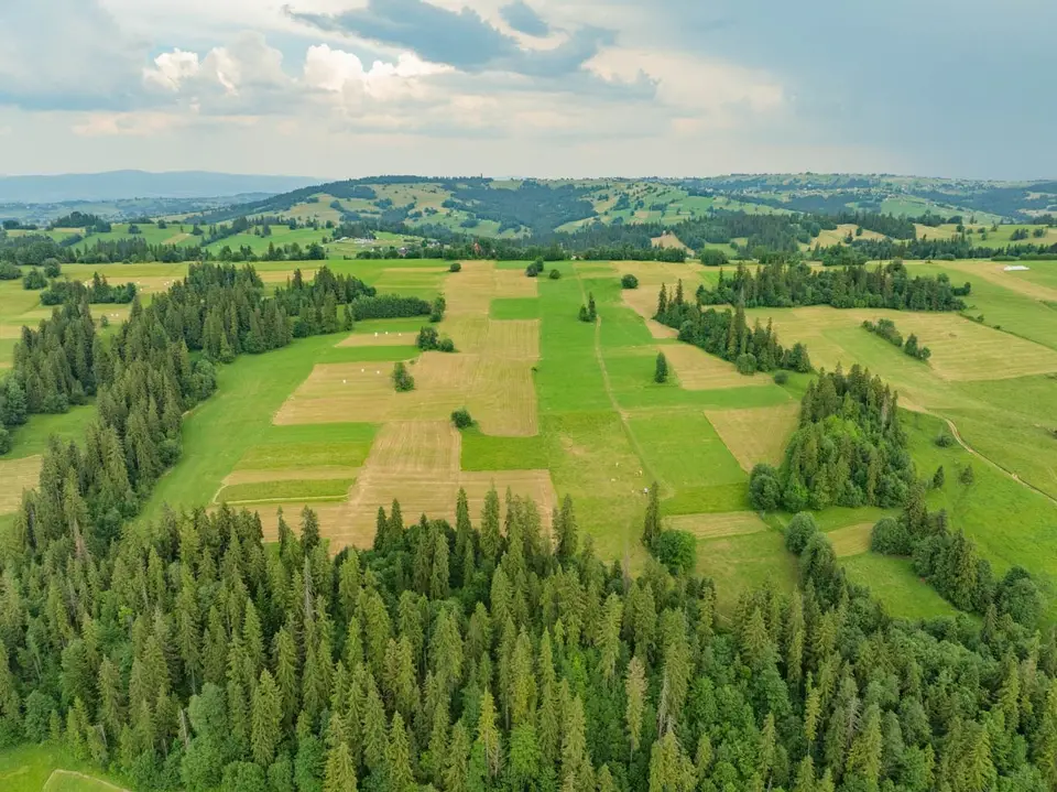 Zdjęcie 24
