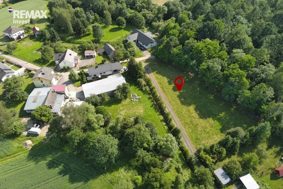 Zdjęcie 18