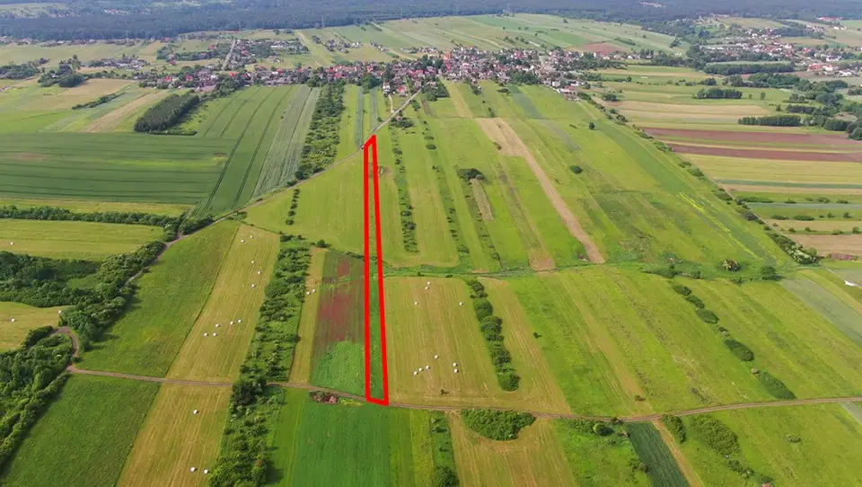 Zdjęcie 6