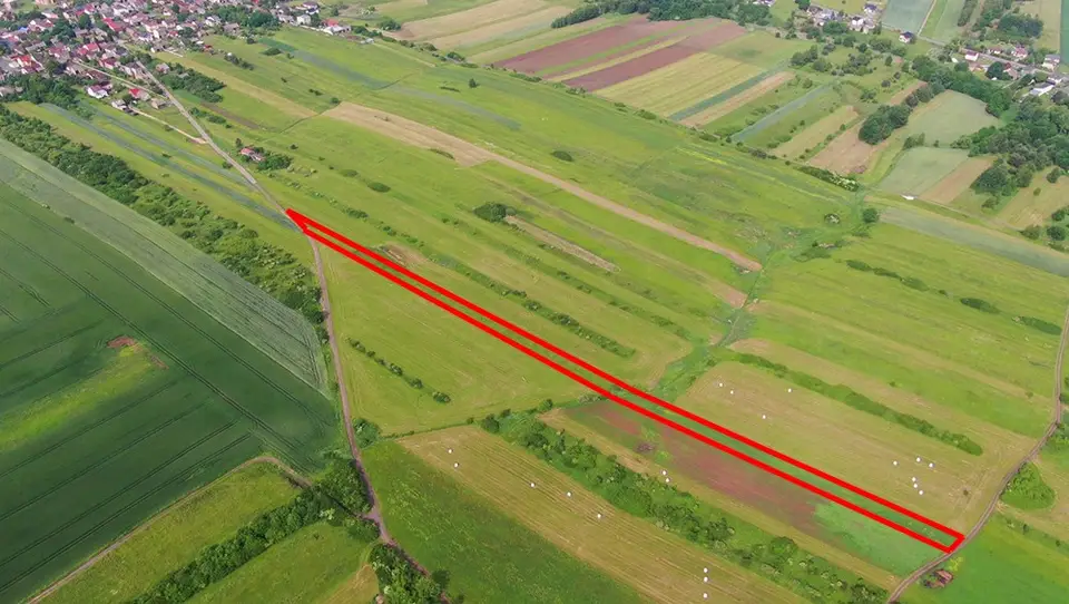 Zdjęcie 12
