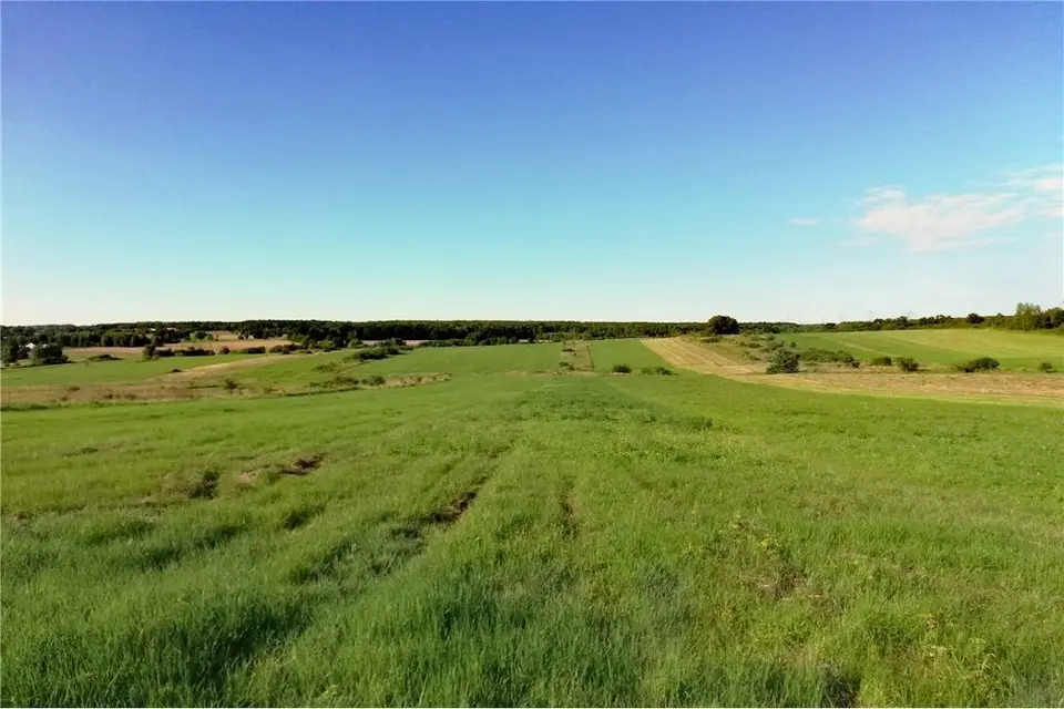 Zdjęcie 13
