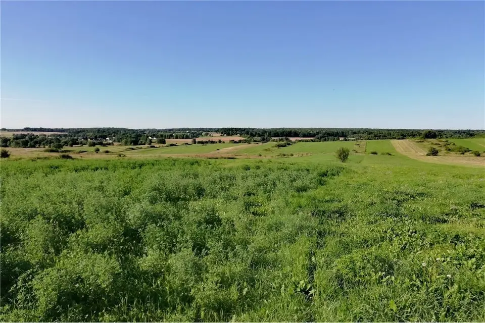 Zdjęcie 14
