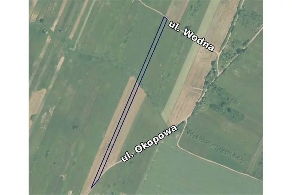 Zdjęcie 16
