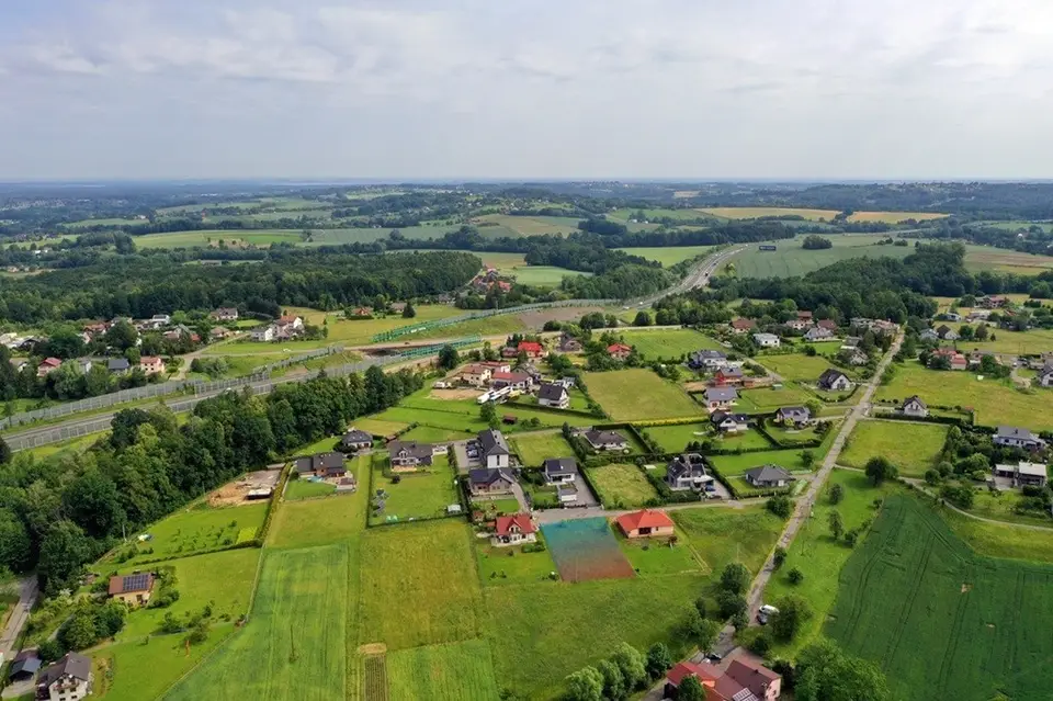 Zdjęcie 12