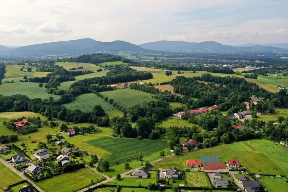 Zdjęcie 16