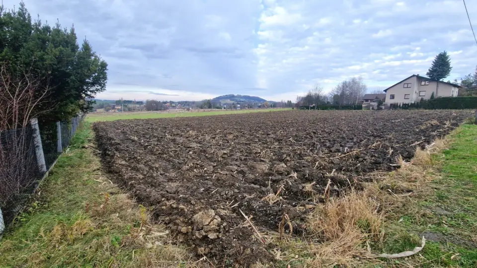 Zdjęcie 3