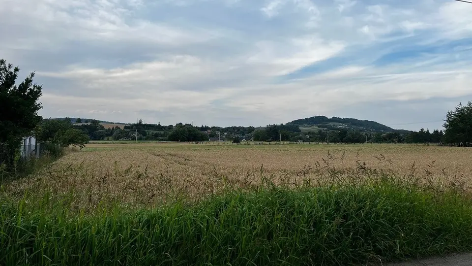 Zdjęcie 5