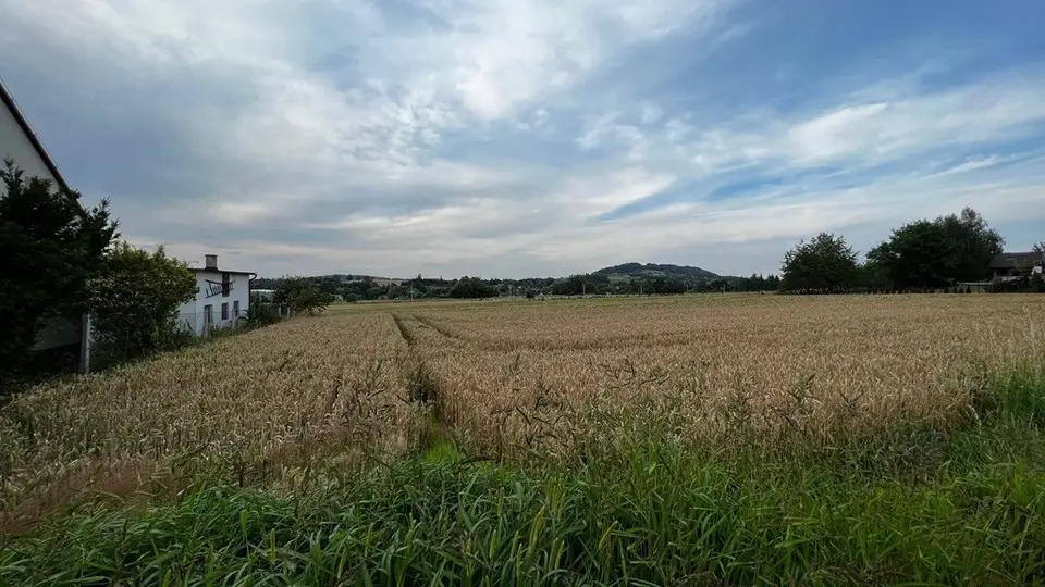 Zdjęcie 8