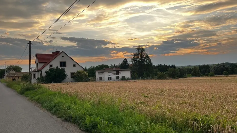 Zdjęcie 9