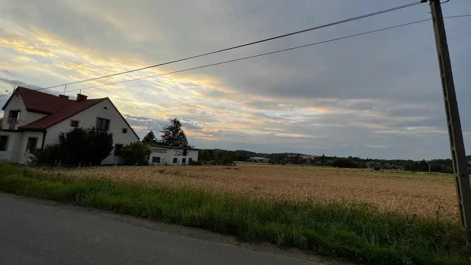 Zdjęcie 11