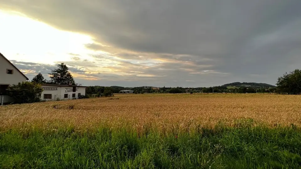 Zdjęcie 12