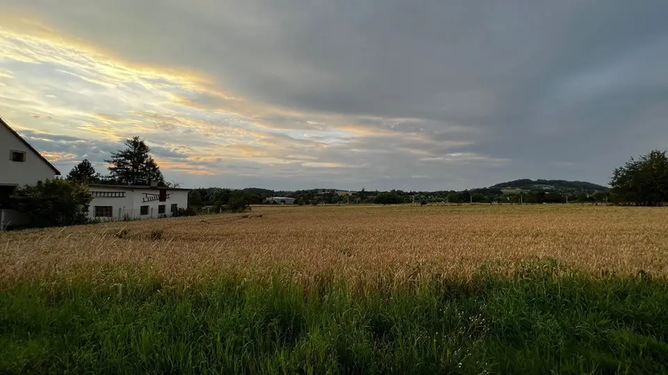 Zdjęcie 13