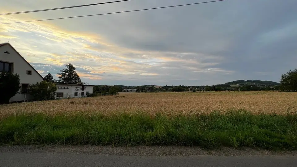 Zdjęcie 14