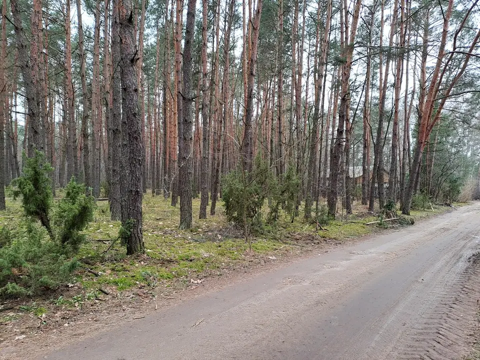 Zdjęcie 3