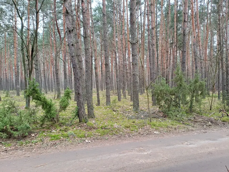 Zdjęcie 4