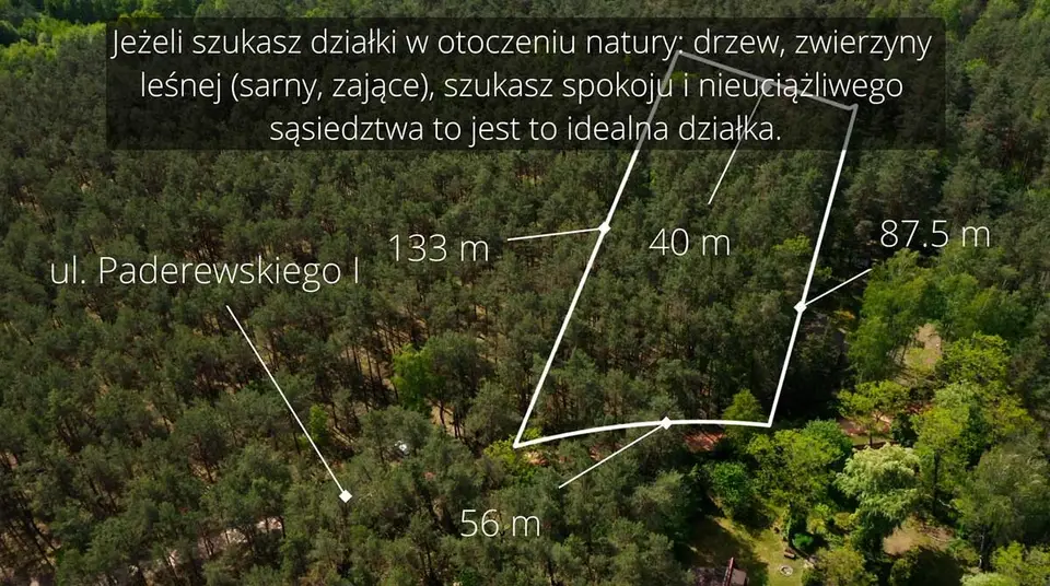 Zdjęcie 7