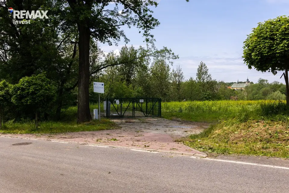 Zdjęcie 11