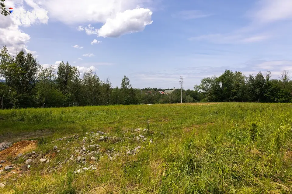 Zdjęcie 12