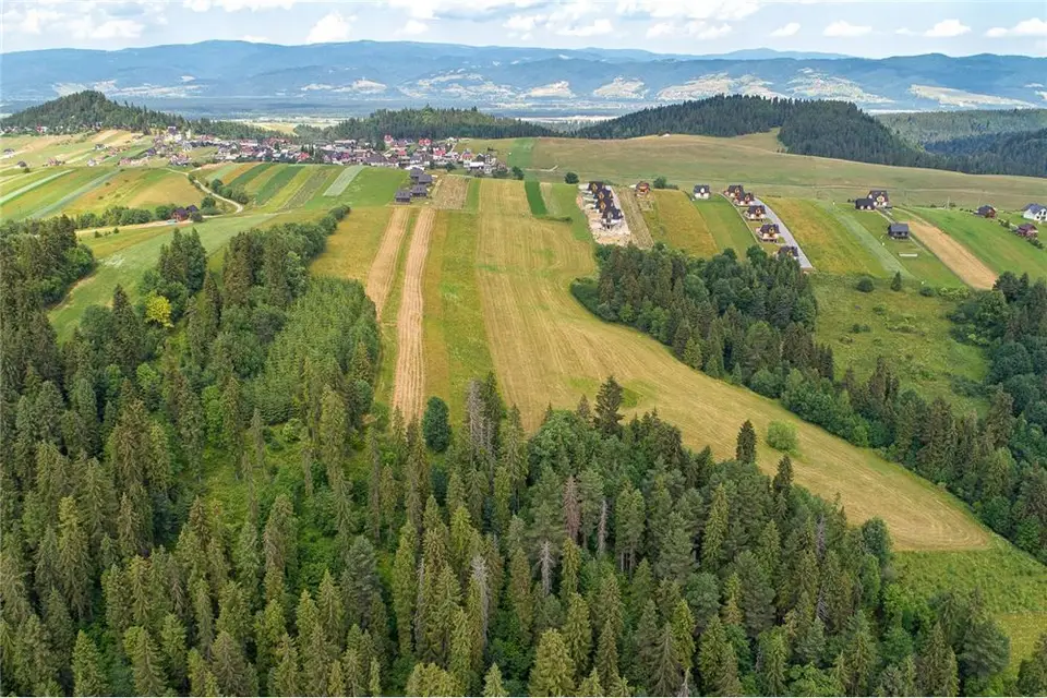 Zdjęcie 12