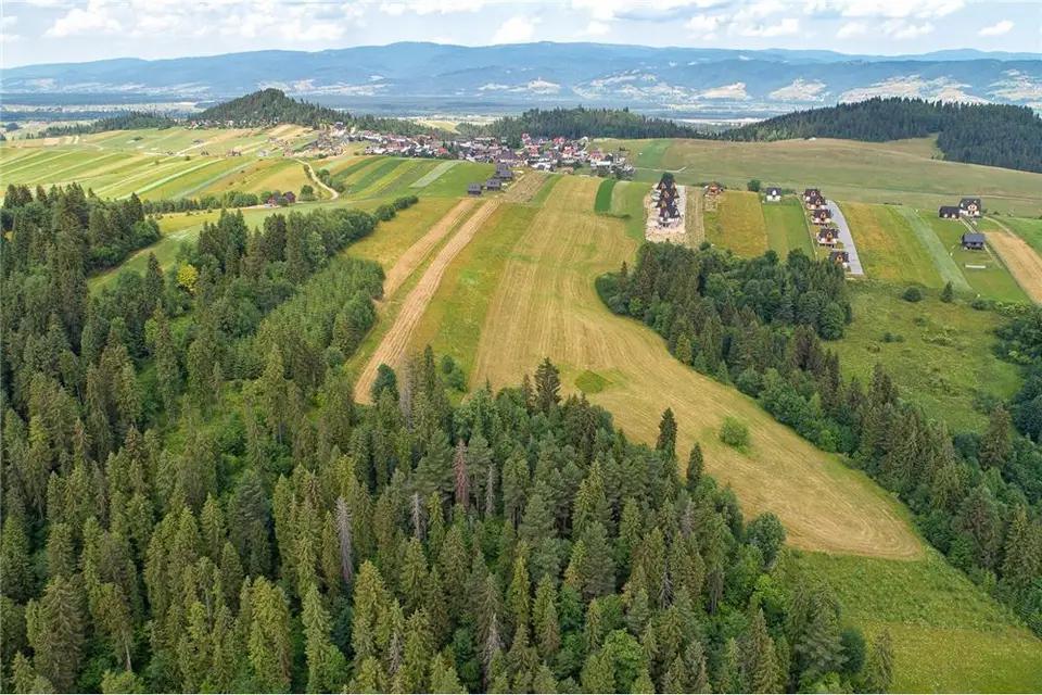 Zdjęcie 13