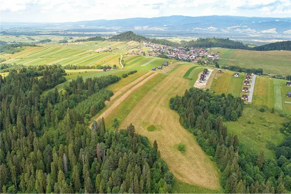 Zdjęcie 15