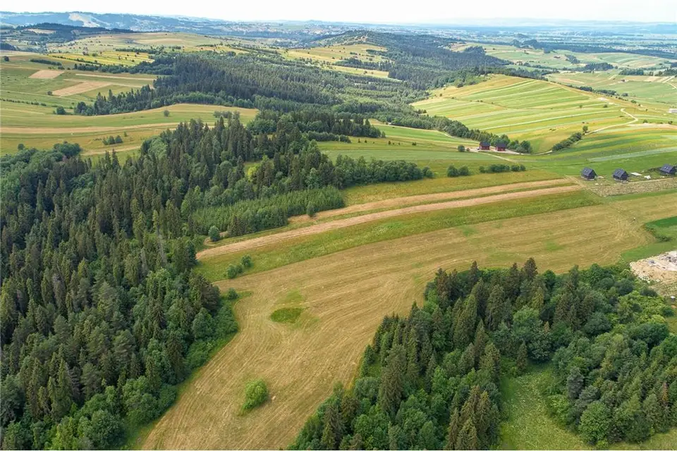 Zdjęcie 18