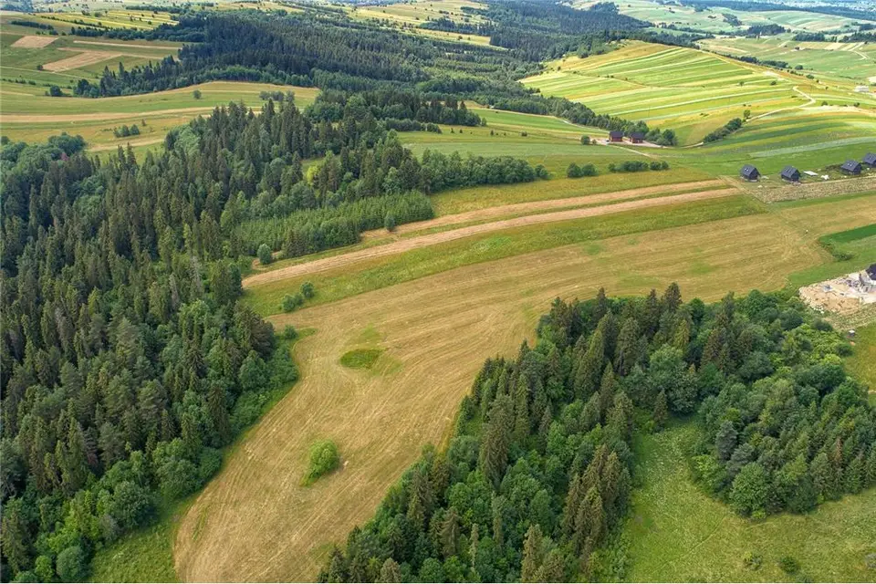 Zdjęcie 19