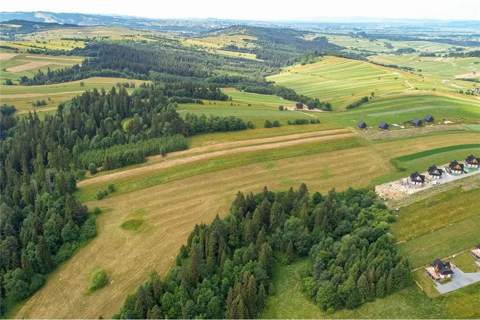 Zdjęcie 20