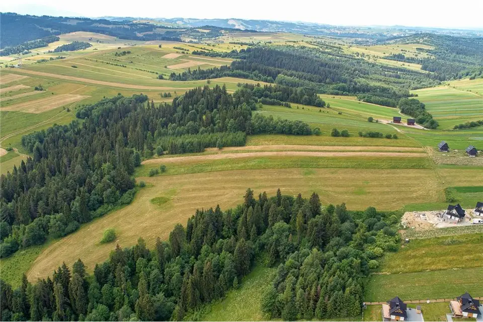 Zdjęcie 22