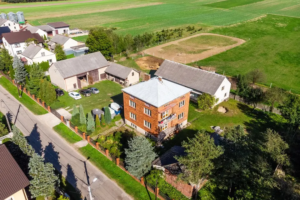 Zdjęcie 20