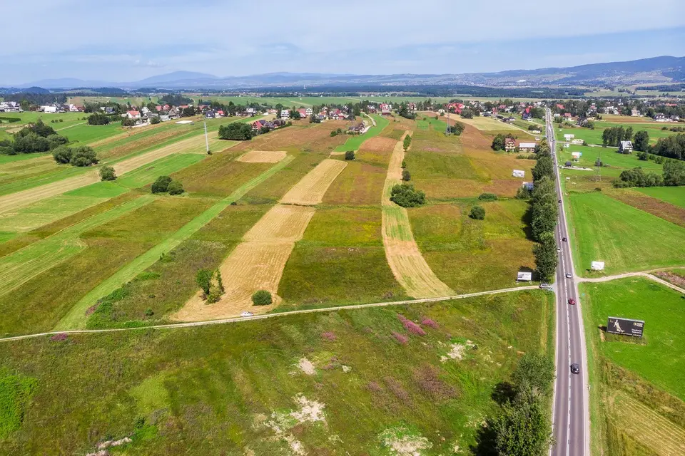 Zdjęcie 12
