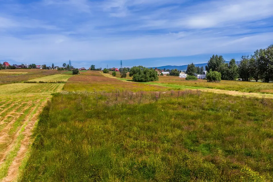 Zdjęcie 22