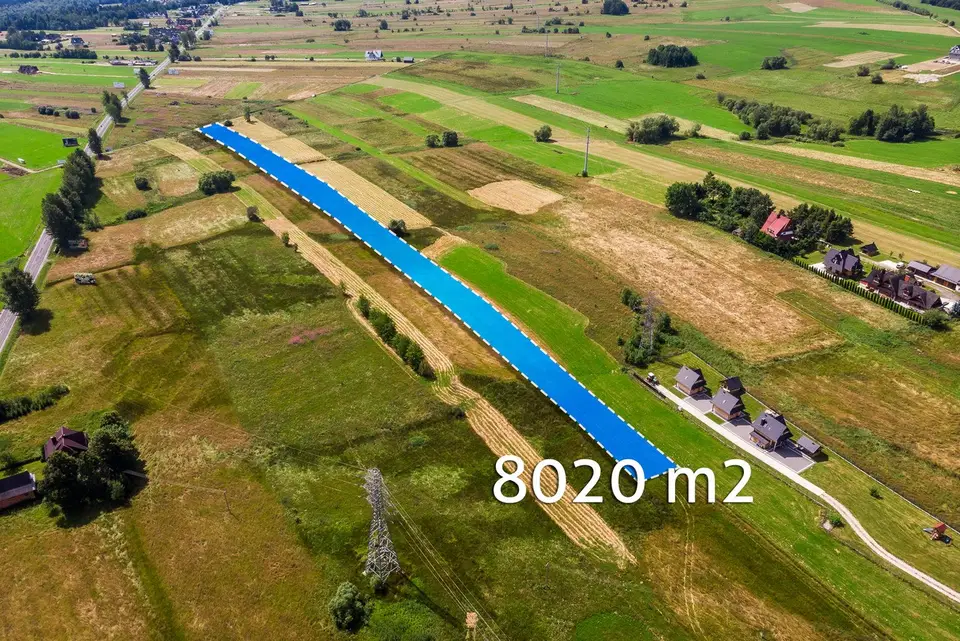 Zdjęcie 25