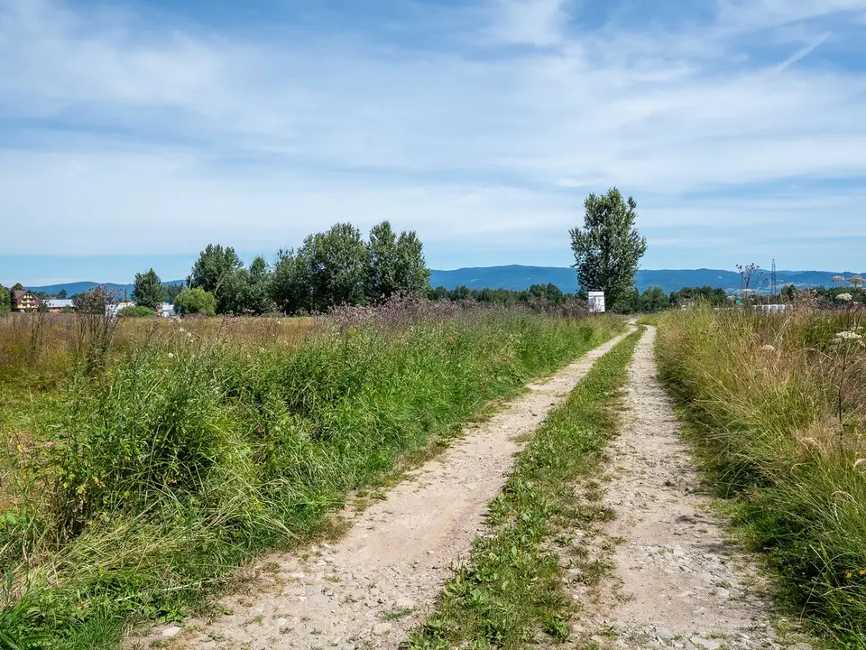 Zdjęcie 29