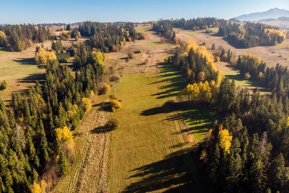 Działka rolna 2 711 m², Biały Dunajec
