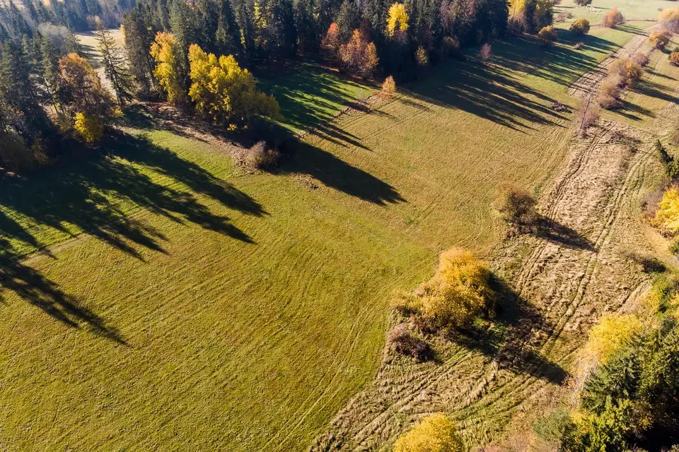 Zdjęcie 17