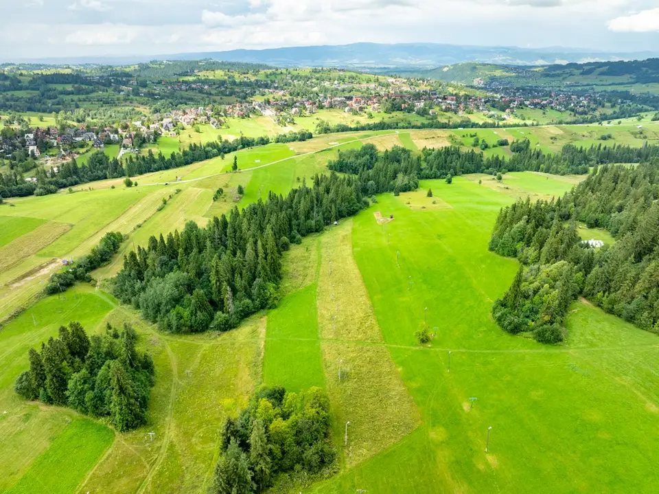 Działka rolna 7 839 m², Bukowina Tatrzańska