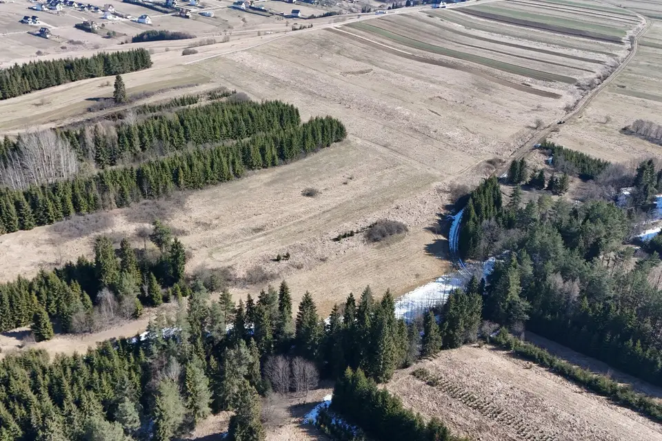 Zdjęcie 11