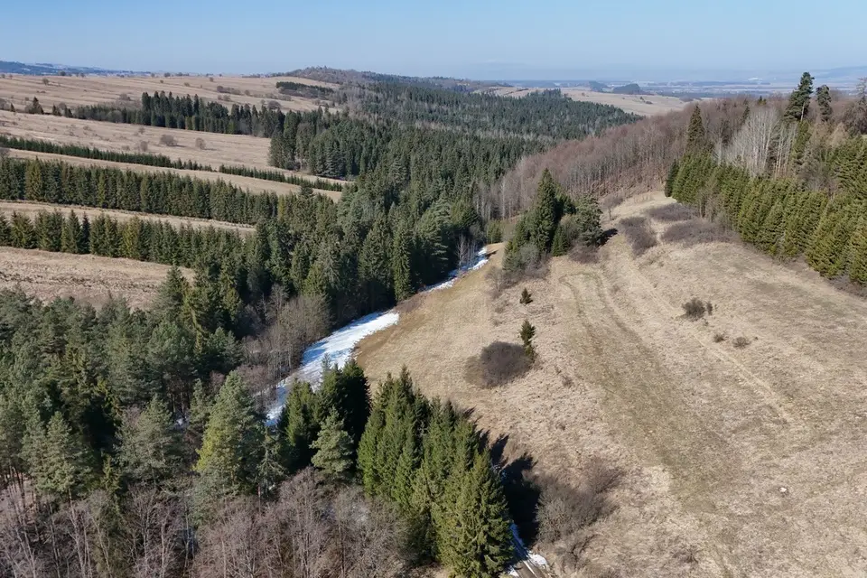 Zdjęcie 14