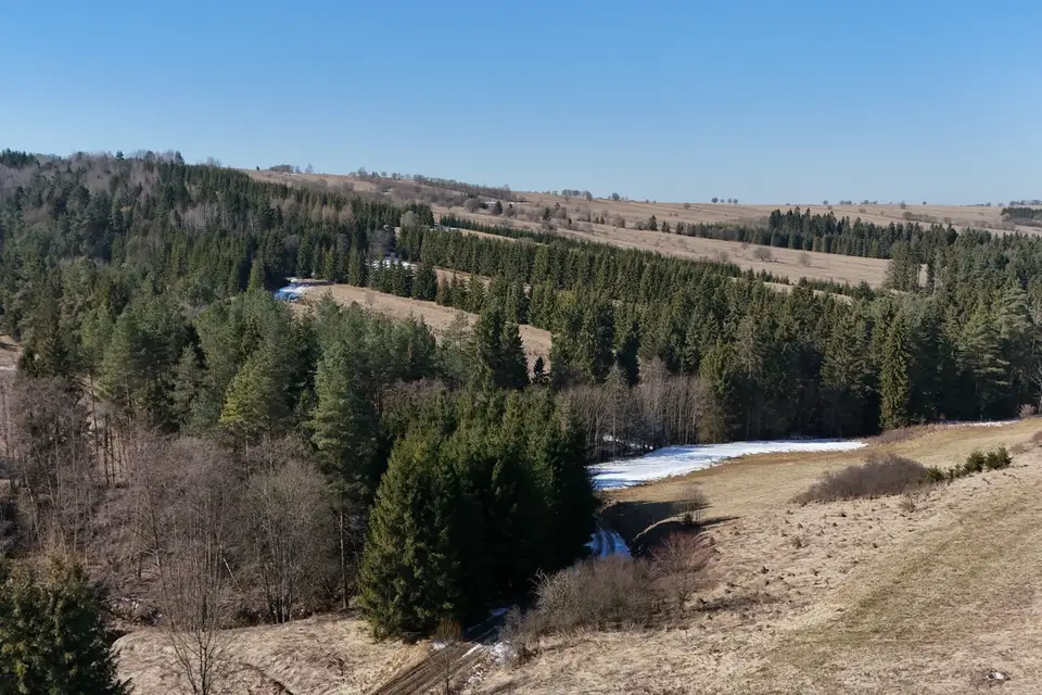 Zdjęcie 16